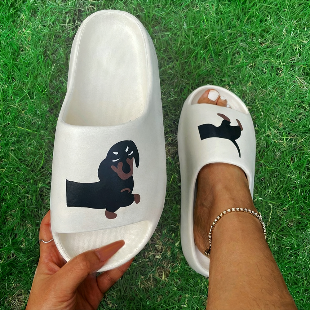 Perro Blanco