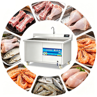Fabrieksdirect Volledig Automatische Ozonbelletjes Groente- & Fruitwasser 100-500kg/uur Geen tussenhandelaarmarkering CE