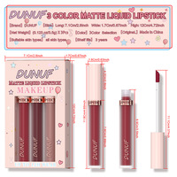Dunuf Wholesale Kit Lèvres 3-en-1 : Gloss Liquide Mat Velours Longue Tenue Anti-transfert