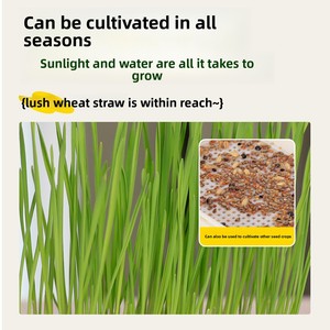 Snacks de Cuerda de Cáñamo Antideslizante con Semillas de Hierba Germinada Comestible para Loros, Juguete para Pájaros, Alivio <span class=keywords><strong>del</strong></span> Aburrimiento, Autoentretenimiento - Product Image 5