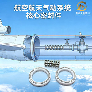 Joint d'étanchéité Pan-Sei pour stockage d'énergie à ressort, en tétrafluoroéthylène, pour système aérodynamique aéronautique, résistant aux hautes et basses températures - Product Image 2