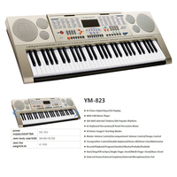 Professional OEM Electronic Organ Piano Keyboard With 61 Keys Music Instruments Keyboard
