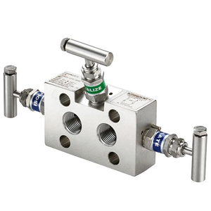 Collecteurs à deux vannes en acier inoxydable pour gaz, avec structure à aiguille manuelle et régulation de température, pour type [indiquer le type] - Product Image 2
