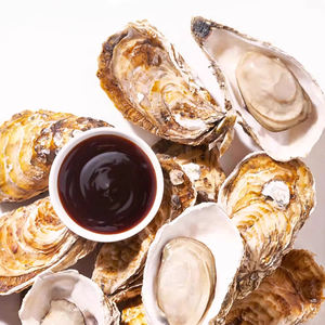 <span class=keywords><strong>Salsa</strong></span> di Ostriche di Alta Qualità in Stile <span class=keywords><strong>Giapponese</strong></span>, Certificata Halal, Supporta Personalizzazione del Packaging OEM e ODM - Product Image 4