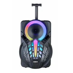 Promotion price 12 Inch multifunctional trolley portable speaker with colorful light and bluetooth for outdoor stage