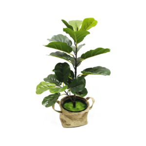 Vero aspetto e tocco falso Bonsai pianta da interno piccolo Ficus artificiale Fiddle <span class=keywords><strong>fico</strong></span> albero per tavolo scrivania Decor - Product Image 3