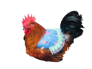 Farm Hen Feather Retainer Chicken Saddle Strap Apron Double <b>Back</b> <b>Protector</b> Poultry Grooming Accessories - Product Image 5