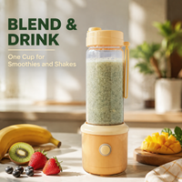 Personnalisé Oem Odm Fruits Légumes Électrique 6 Lames Mini Portable Rechargeable Tasse À Main Lente Presse-agrumes Extracteur Machine Mélangeur