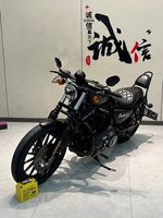 Harley-Davidson 1 883cc Sportster Cruiser - Véhicule sport-touring haut de gamme pour les loisirs et les voyages