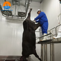 Ligne d'abattage d'abattoir pour bovins