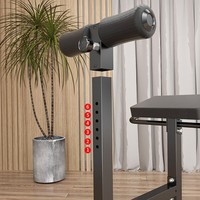 Banc d'hyperextension réglable pour la maison, chaise romaine, entraîneur de dorsales, machine de fitness OEM pour la musculation