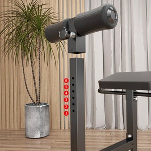 Großhandel Verstellbare Rückenstreckerbank für Zuhause – OEM Fitness-Trainingsgerät für Rückenübungen - Product Image 4