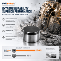 Защитные резцы Drillsoltek PDC для производства долот PDC с длительным сроком службы