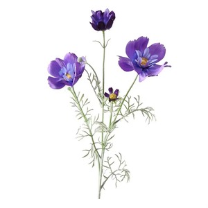 Venta al por mayor de tela de seda para decoración del hogar de la boda Galsang flores artificiales rosa púrpura flocado <span class=keywords><strong>Cosmos</strong></span> <span class=keywords><strong>Bipinnatus</strong></span> para arreglo floral - Product Image 6