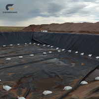 Geomembrana de HDPE a Precio de Fábrica para la Recolección de Lodos y Sistema de Drenaje de Vertederos 2.0mm 3.0mm