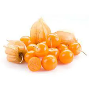 Retail Premium Hoge Kwaliteit Nieuw Type Prijs Vruchten Droog Gedroogde Golden Berry Snacks Leveranciers Gedroogd Fruit Verse Gouden Bessen