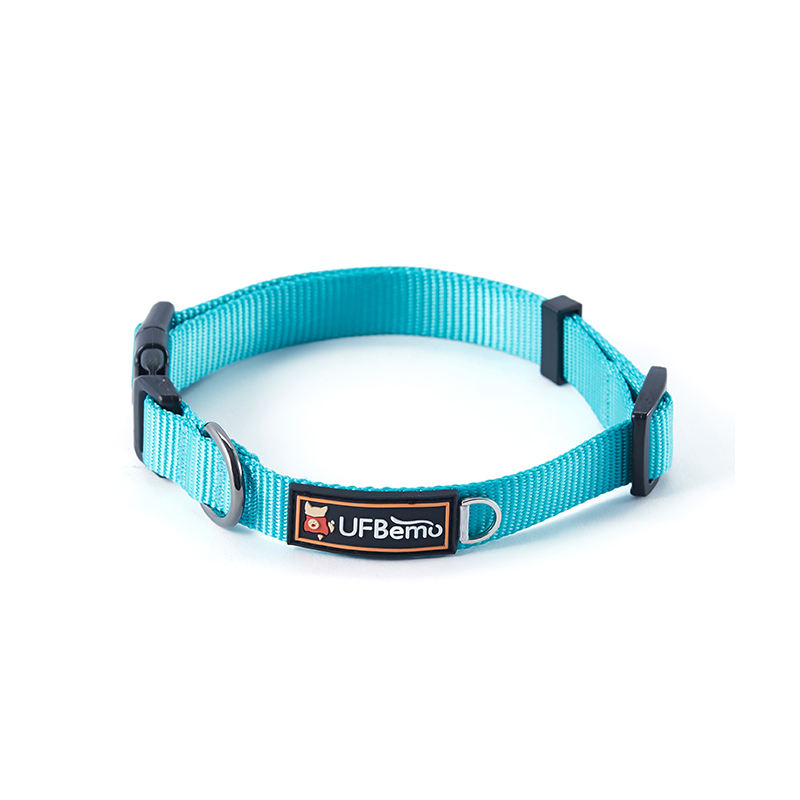 ปกสีน้ำเงิน