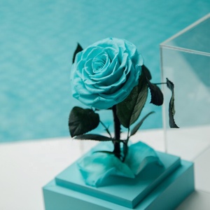 Ingrosso conservato stabilizzato Rose secche conservate in acrilico scatola di fiori per il regalo - Product Image 6