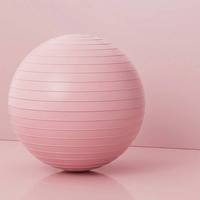 Ballon de Yoga et Pilates Anti-éclatement Premium 65 cm avec Pompe, Ballon d'Exercice en PVC Épaissi pour Chaise de Bureau, Assise Active et Entraînement de Stabilité