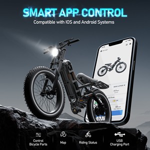 Eahora Romeo Pro 1600W Vélo Électrique Rétro E-MTB Haute Performance Lithium Vélos Électriques Dirt Bike Mtb - Product Image 5