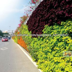 Systèmes de Jardin Vertical, Modules de Mur Végétal, Jardinières, Pots, Pots à Fleurs en Plastique Pas Chers, Vente en Gros - Product Image 4