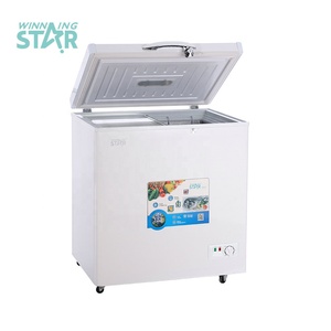 WINNING STAR BG-449 Congélateur d'Exposition à Énergie <span class=keywords><strong>Solaire</strong></span> à Compresseur DC AC240V/DC12V 125L Réfrigérateur Congélateur à Compression Profonde - Product Image 1