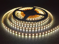 Tira de Luces LED SMD 2835 120LEDs/M, 5M Flexible, Impermeable, DC 12V/24V, Cinta LED de Alto Brillo para Decoración del Hogar