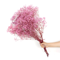 Gedroogde Gypsophila Bloemen Hot Sale Gedroogde Bloemendecoratie Gypsophila Ge conserveerde Gedroogde Babysbreath Bloem Gypsophila voor Bruiloften