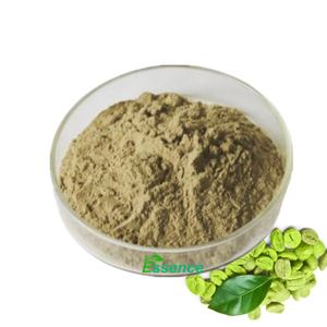 Ingrediente Natural para la Salud, Extracto de Granos de Café Verde en Polvo, Polvo de Granos de Café Verde - Product Image 2