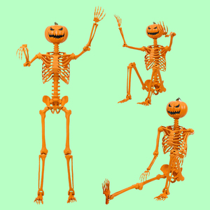 Decoraciones de Halloween 2024, Accesorios para Casa Embrujada, Esqueleto Animado con Articulaciones Móviles, Esqueleto de Halloween de Alta Calidad para Fiestas - Product Image 4