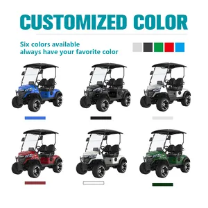 Good Selling 48V 2 Seater Electric Golf Car Low Speed 40KM/H Off Road CE Certificate Electric Golf Buggy Hunting Cart