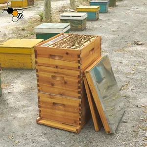 Apiculture 2/3 couches 10 cadres langstroth enduit miel ruche complète en bois ciré ruches kit de boîte à vendre