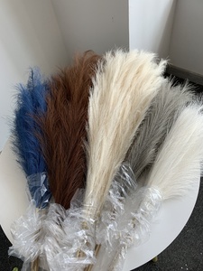 <span class=keywords><strong>Herbe</strong></span> <span class=keywords><strong>de</strong></span> la <span class=keywords><strong>Pampa</strong></span> Artificielle en Gros, 18 Fourches, Fleurs Artificielles <span class=keywords><strong>de</strong></span> la <span class=keywords><strong>Pampa</strong></span>, Fleurs Décoratives pour Mariages, <span class=keywords><strong>Herbe</strong></span> <span class=keywords><strong>de</strong></span> la <span class=keywords><strong>Pampa</strong></span> pour Décoration d'Événements - Product Image 3