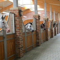 Tente portative de luxe d'écurie de cheval pour l'état utilisé par fermes à Dubaï pour des chevaux d'écurie