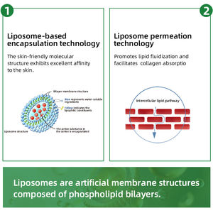 Üretici sağlanan 40% Liposome <span class=keywords><strong>Oleuropein</strong></span> tozu doğal saf % zeytin yaprağı özü suda çözünür gıda sınıfı Minimum sipariş 1kg - Product Image 5