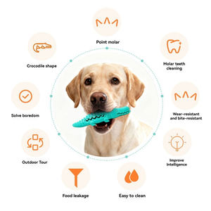 Hiphoppet en çok satan özel köpek çiğnemek kauçuk oyuncaklar üreticisi Pet ürünleri malzemeleri kauçuk çiğnemek oyuncak gıda dağıtıcı tedavi topu - Product Image 6