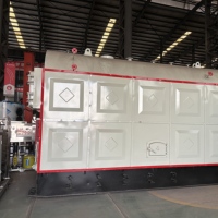 DZH6.0-1.25 Boiler Uap Industri Efisiensi Tinggi 4.5 Ton Berbahan Bakar Biomassa