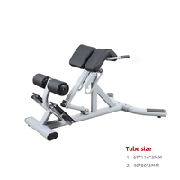 Banc d'hyperextension pour équipement de fitness de chaise romaine d'extension de dos de tube ovale de centre de gymnastique commerciale