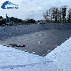 Ventes directes d'usine 0.2-3mm Géomembrane HDPE anti-infiltration haute Performance adaptée à la doublure de barrage de réservoir de biogaz et à la doublure d'étang - Product Image 5