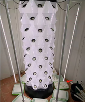Kit de culture hydroponique d'ananas en tour clé en main avec conception écoénergétique et technologie de recyclage de l'eau pour les agriculteurs modernes