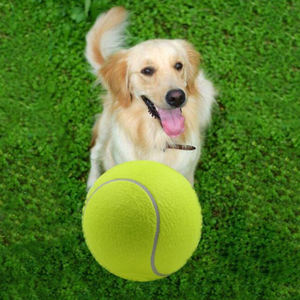 OEM ODM Individuelle Farbe Langlebige PVC Umweltfreundliche Hunde-Tennisbälle mit Eigenem Logo für Training & Täglichen Gebrauch Kauspielzeug - Product Image 2