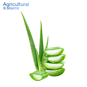 Hot Pick Aloe Vera-Aloe Vera 100% biologique cultivé à la ferme-Doux pour la peau, idéal pour l'eczéma, les éruptions cutanées et les zones irritées de la peau - Product Image 3