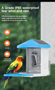 IP66 2MP thông minh Bird nhà trung chuyển với máy ảnh năng lượng mặt trời bảng điều khiển từ xa xem ai nhận dạng ngoài trời động vật hoang dã giám sát máy ảnh - Product Image 5