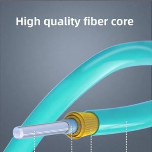Câble de raccordement en <span class=keywords><strong>fibre</strong></span> <span class=keywords><strong>optique</strong></span> multimode 10 Gigabit de qualité télécom LC-LC double cœur OM3 OM4 à faible émission de fumée et sans halogène - Product Image 4