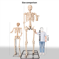 Décoration d'horreur en plastique pour Halloween, crâne et squelette extra-larges de 3,2 m pour une utilisation en intérieur/extérieur