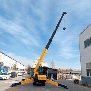 رافعة عنكبوتية ذات ذراع تلسكوبي، رافعة زاحفة صغيرة متنقلة - Product Image 5