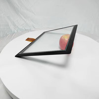 Módulo de Pantalla Táctil LCD TFT Capacitiva ZEELANG de 32 Pulgadas, Resolución 720P, Táctil de 10 Puntos, Interfaces USB RS-232 IIC, Panel Ajustable
