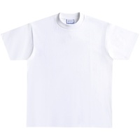 T-shirt Streetwear Épais à Col Serré 400 Gsm de Haute Qualité, Impression Personnalisée, 100% Coton, Homme, T-shirts Vierges et Unis