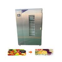 Máquina Deshidratadora Industrial Profesional para Tomates y Ciruelas, Secadora de Frutas y Carne de Res de 100 kg con PLC