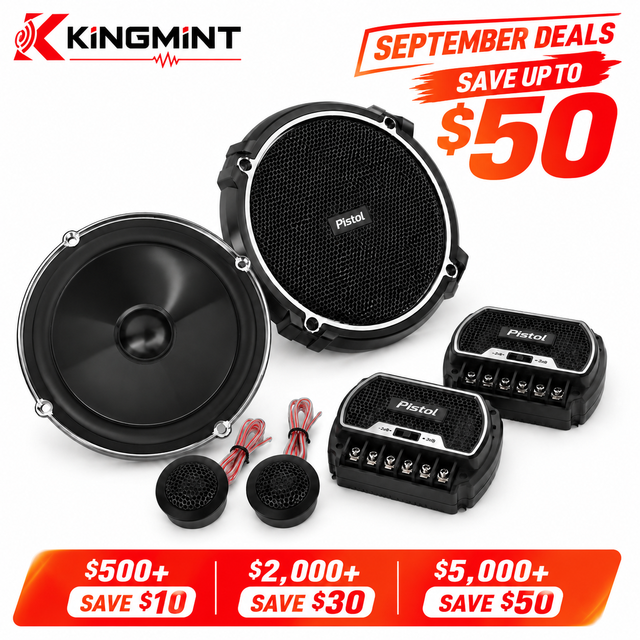 Professional 6.5 Inch Component Car Speaker 2 Way Speaker Set for Car Audio Upgrade